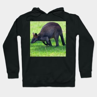 Wallaby on the Hop! Hoodie